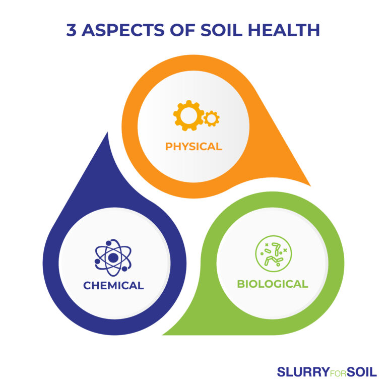 3 ASPECTS OF SOIL HEALTH