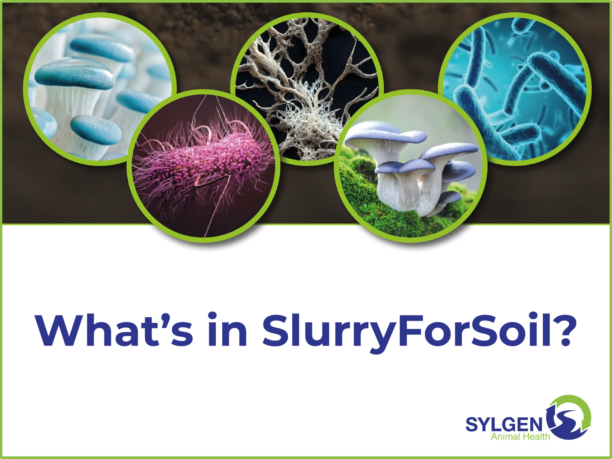 What's in SlurryForSoil?